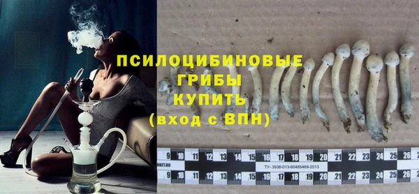 ECSTASY Гусев