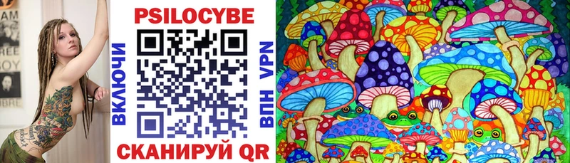 Псилоцибиновые грибы Psilocybine cubensis  Купить закладки  Новый Оскол 
